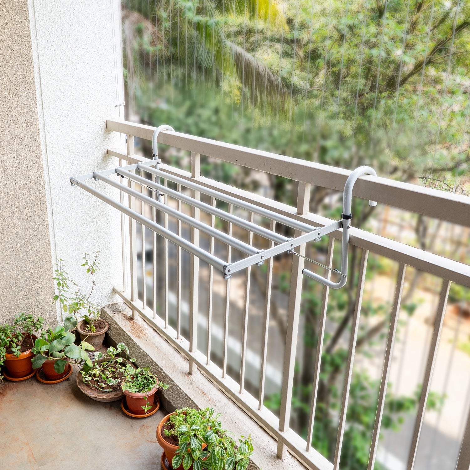 ED-BalcoNewPhotos_7_1.webp
